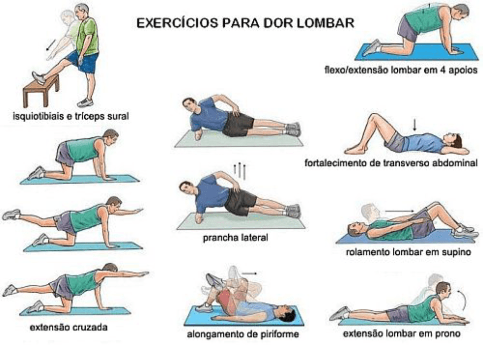 Ortopedia Bedran Exercícios Para A Coluna 1385